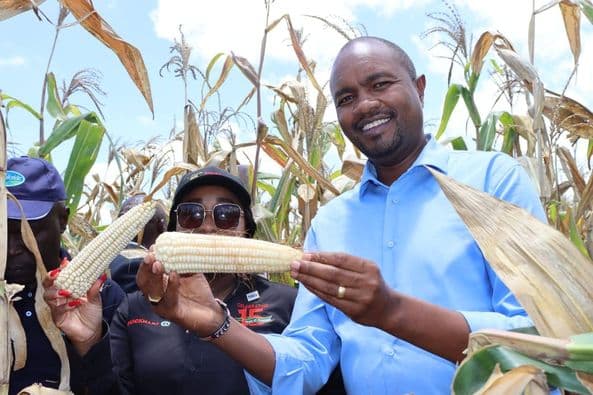 Agriculture Loans